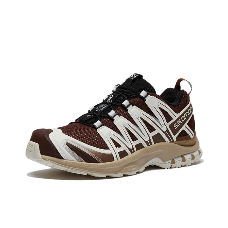 SALOMON XA PRO 3D Mesh Komfort – Salomon Shoes Xa Pro 3D Bewertung und Preis