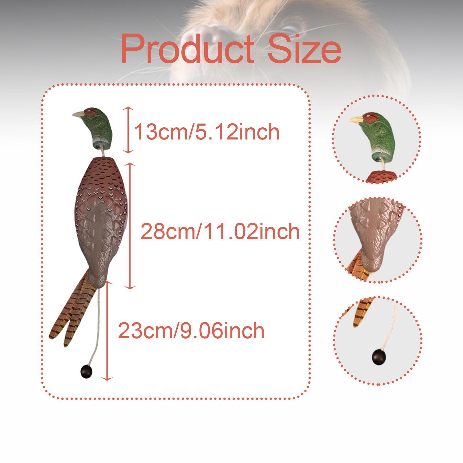 Jagd- und Retriever-Trainingsz – Outdoor Hunting Dogs Bewertung und Preis