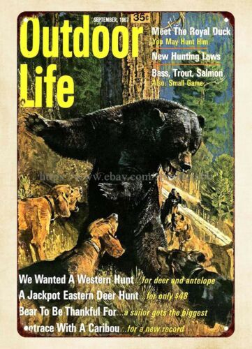 Bürowanddekoration 1967 Outdoo – Outdoor Hunting Dogs Bewertung und Preis