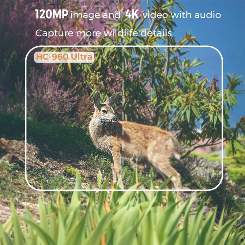 A99E-Outdoor 4G 120MP 4K Live- – Hunting And Outdoor Shows Bewertung und Preis