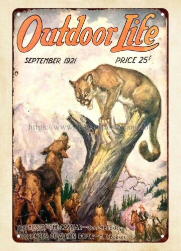 Kaufen Sie ein Wandbild mit de – Outdoor Hunting Dogs Bewertung und Preis